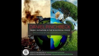 Higherside Chats  Daniel Pinchbeck  Trump Initiation amp The Ecological Crisis [upl. by Faustine133]