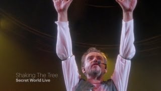 Peter Gabriel  Shaking The Tree Secret World Live HD [upl. by Gusella]