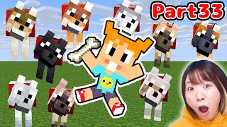 【マイクラ】 アプデやばい！9種類の新種のオオカミを徒歩で探しに行くぞ！！！Part33【マインクラフト】【マイクラ統合版】【Minecraft】 [upl. by Schmitz893]