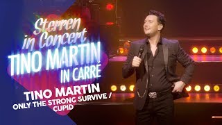 Tino Martin  Only the strong survive amp Cupid  Sterren in Concert Tino Martin in Carré [upl. by Dielle]