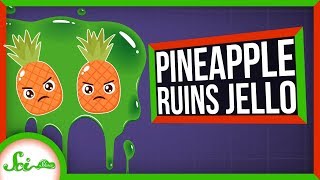 Why Do Pineapple and Kiwi Ruin Gelatin [upl. by Ominoreg525]