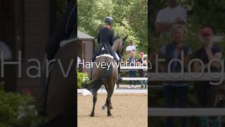 Charlotte Dujardin Hawtins San Floriana Hartpury 2022 horse dressage [upl. by Robina]