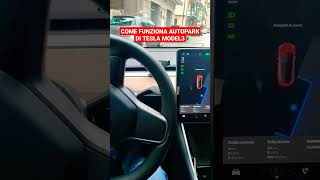 Come funziona AUTOPARK di Tesla Model 3 Parcheggio in linea [upl. by Eitsrik492]