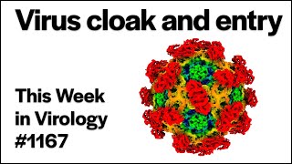TWiV 1167 Virus cloak and entry [upl. by Allenrad]
