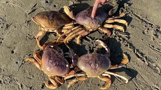 Crabbing Lawsons landing sponsor by Reggies Tackle Shack in Freeport market Sacramento [upl. by Kristian676]