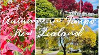 Autumn in Taupo New Zealand taupo autumn newzealand seasons walking lunchbreak relaxing [upl. by Elleniad]