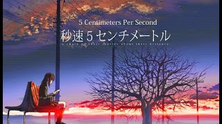 5 Centimeters Per Second LiveAction Adaptation Announced [upl. by Naitsabes]