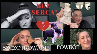 POWRÓT🤗 HISTORIA PSIAKÓW🐶SZCZOTKOWANIE TWARZY 😱🙌 AnetawIrlandii🍀 [upl. by Ng]