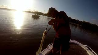 Prawning Trip The Salt Works Moreton Bay [upl. by Baer586]