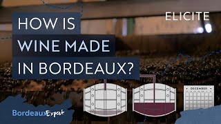 Red Winemaking in Bordeaux Explained [upl. by Autry6]