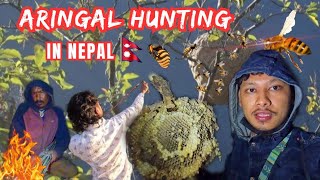 Aringal Hunting In Nepal Vlog  Kathmandu Hometown [upl. by Trevorr]