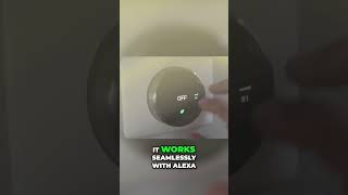 Smart Home Essentials Nest Thermostat amp Philips Hue Light Strip [upl. by Enale945]