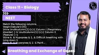 Match the following columns 2c Column I Respiratory disorder 1c Column II Feature A [upl. by Liamaj938]