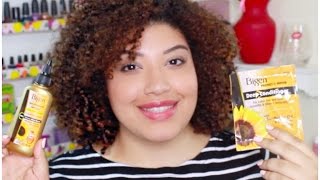 Bigen Hair Color Review  How I Dye My Curly Hair  BeautyThroughBri [upl. by Eiramacissej]