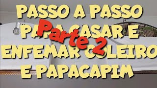 COMO CASAR E ENF3MAR COLEIRO E PAPACAPIM ✓✓✓VIDEO 2 [upl. by Zalucki]