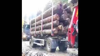 The Ultimate Logging Challenge Trucks vs Uphill Mud Trails [upl. by Akyre]