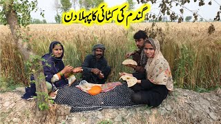 Village Life In Pakistan  Rural Village Life Style  Traditional Life  Village Joint Family [upl. by Rori]