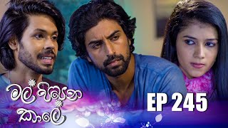 Mal Pipena Kale  Episode 245 12th September 2022 [upl. by Anilad]