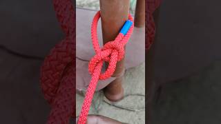 The Great Bowline Knot how bowlineknots shorts trending [upl. by Bolger694]