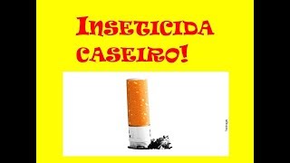 Inseticida natural feito com piolas de cigarrobitucas [upl. by Gnehc]