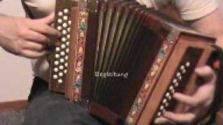 Swiss accordion trio Schwyzerörgeli trio [upl. by Sert174]