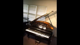 Illustrious Bosendorfer grand piano [upl. by Hoy]