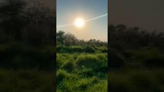 Beauty of Sindh  Sindh Forest Side  Relaxing Nature  Sindhi Song Kandi na Singri [upl. by Annavahs]