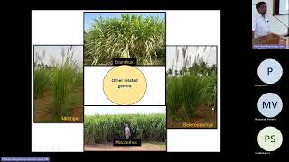 Guest LectureIntergeneric hybrids as potential sources of stress tolerance genes in sugarcane [upl. by Zeus]