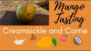 Tasting Sinclair  Creamsickle and Carrie Mangos from Florida [upl. by Goldstein788]