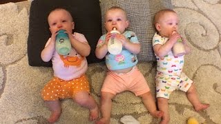 The Busy Busbys  OutDaughtered [upl. by Ettelra]