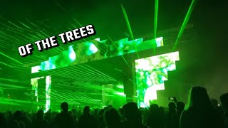 Of The Trees  Solfest 2024 [upl. by Josee]