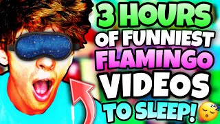 3 HOURS OF FLAMINGO VIDEOS TO FALL ASLEEP MARATHONROBLOX [upl. by Nathalia]