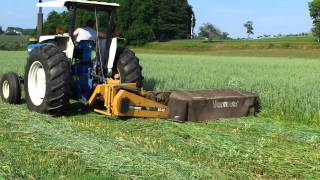 Ford 6610 mowing hay with Vermeer 5040 disc mower [upl. by Efal895]