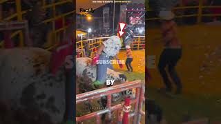 Man vs Bull The Ultimate Survival Challenge 🐂 ExtremeGames AdrenalineRush SurvivalChallenge [upl. by Aihceyt]