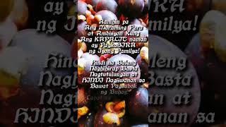 Wow Mangosteen Fruits mangosteen fruit shortvideo highlights [upl. by Akemot]