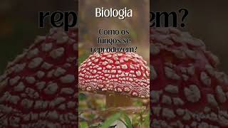 fungos reproducaofungica biologia micologia esporos brotamento ciencianatural natureza [upl. by Kingsley]