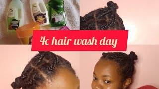 My 4c hair wash day routineon a budget kenya [upl. by Malchy]