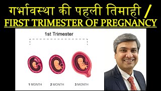 गर्भावस्था की पहली तिमाही  FIRST TRIMESTER OF PREGNANCY [upl. by Anertak104]