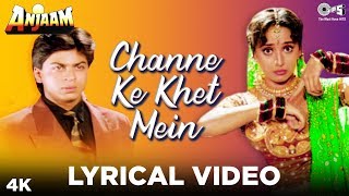 Channe Ke Khet Mein Lyrical  Anjaam  Shahrukh Khan amp Madhuri Dixit  Poornima [upl. by Edva]