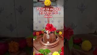 Parijat ka pusp mahadev ko chadaye dekho video me 🙏 [upl. by Anoik]