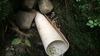 Así son los nacimientos de agua limpia y natural de mi rancho agua para beber y limpia en Veracruz [upl. by Oiralih270]