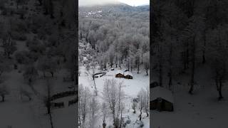 Hyrcanian Forest In Winter  Snowy Jungle  Savadkooh  Mazandaran  IRAN hyrcanian forest [upl. by Notserc303]