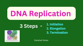 DNA ReplicationInitiationElongationTerminationProkaryotesEukaryotesSemiconservativeTelomerase [upl. by Schalles]