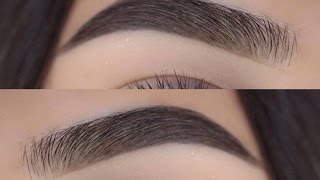 MY BROW ROUTINE  Krimd [upl. by Thalassa527]