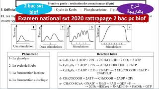 Examen national svt 2 bac svt rattrapage 2020 biof [upl. by Glaudia]