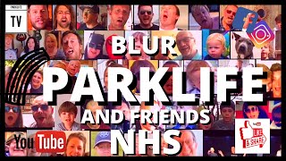 Blur  Parklife cover [upl. by Etteoj295]