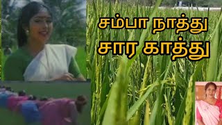 Samba Naathu Cheran Pandiyan Tamil Evergreen Song Wonvoice Without music [upl. by Salvidor]