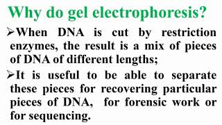 Why Do Gel Electrophoresis [upl. by Mellar]