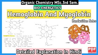 Hemoglobin And Myoglobin  Basic Concept  Structure And Functions  MSc3rd SemNotes  mscnotes [upl. by Ahsielat888]