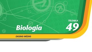 49  Bactérias operárias  Biologia  Ens Médio  Telecurso [upl. by Ycniuq]